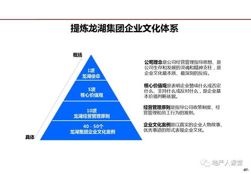 數(shù)字化驅(qū)動下的精細化管理 龍湖企業(yè)管理與運營中的計算機系統(tǒng)服務應用
